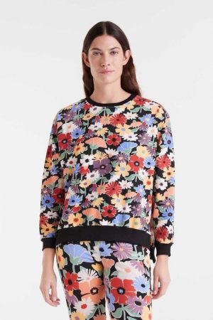 Marca > Compañia Fantastica 23