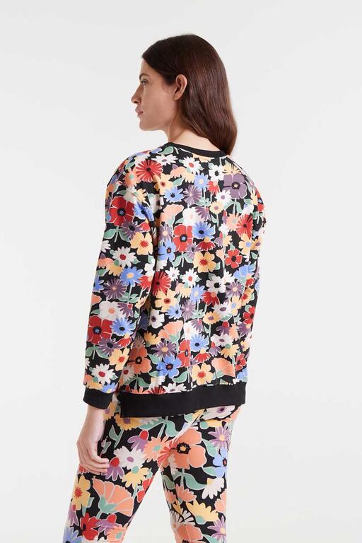 Sudadera 100% algodón con estampado Hampton Small 3 Sudadera 100% algodón con estampado Hampton Small 3